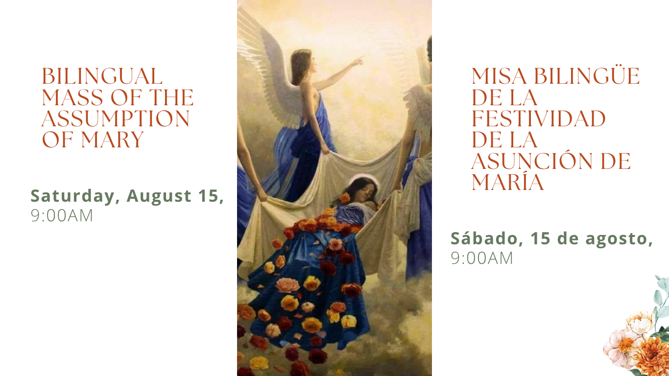 assumption of mary Mass Schedule (Website)