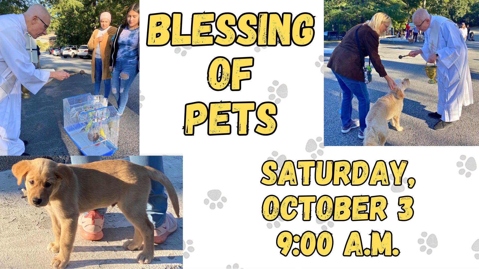 Blessing of the Pets
